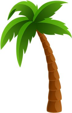 a palm tree on a white background