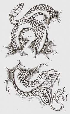 a tattoo design with two snakes on the side and one snake on the other side