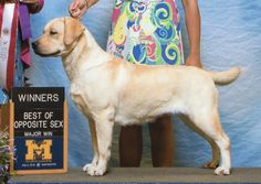 a dog standing on top of a table next to a woman