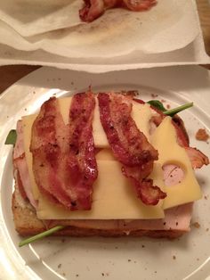 a bacon and cheese sandwich is on a plate