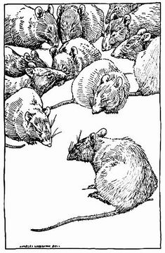 an ink drawing of several rat's in the middle of a field, one is looking at the camera