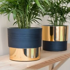 two potted plants sitting on top of a wooden shelf