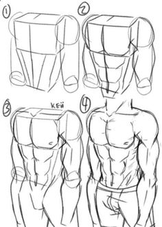 how to draw the torso and upper half of a man's body in 3 easy steps