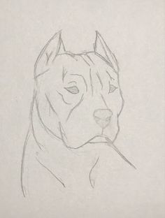 a pencil drawing of a dog's head on a white paper background with the words, how to draw a pitbull