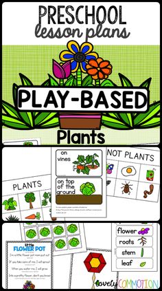 the plant life cycle worksheet for preschool to learn how to grow and use plants