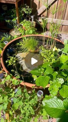 Demanding and trendy garden fountain ideas | Gardening | Garden decor ideas Container Pond With Fish, Pond In A Pot, Container Pond, Mini Pond, Patio Pond, Diy Pond, Epoxy Paint