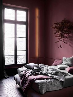 an unmade bed sitting in front of a window next to a plant on the wall