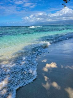 the beach is very clean and clear for us to see