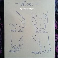 a drawing of noses and nose types