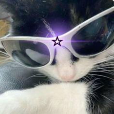 a black and white cat wearing sunglasses with a star on it's forehead,