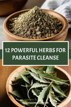 Looking for natural ways to support your body's detox process? Explore the power of herbal parasite cleanse with these effective herbs for parasites. Discover a range of anti-parasite herbs that can help rid your system of unwanted guests. Enhance your parasite detox journey with a variety of herbs that kill parasites naturally. Try incorporating foods that kill parasites into your diet to support a natural parasite cleanse. Anti Parasite Diet, Natural Parasite Cleanse, Apothecary Supplies, Herbal Parasite Cleanse, Herb Journal, Herbs For Tea, Health Benefits Of Mushrooms, Feeling Sluggish, Herbal Medicine Recipes