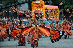 a group of people dressed in orange and black butterfly costumes walking down the street with their arms outstretched