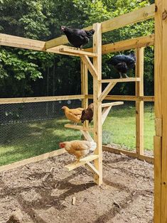 chickens are climbing up and down the ladders in an outdoor chicken coop that is made from wood