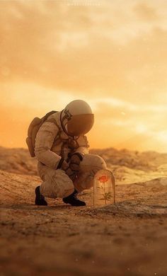 an astronaut kneeling down in the desert looking at a small box with a plant growing out of it