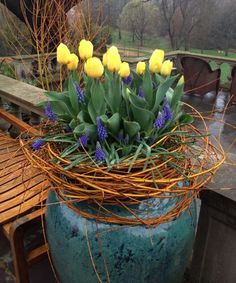 yellow tulips and purple flowers in a blue vase sitting on a wooden bench