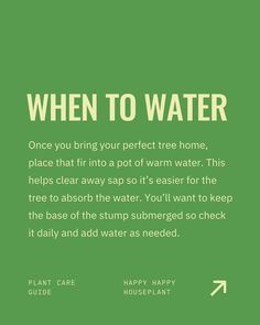 a green poster with the words when to water