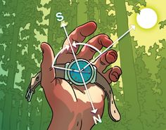 a hand holding a watch with arrows pointing to the sun and trees in the background