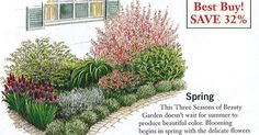 an advertisement for garden plants and flowers with the caption best buy save 32 %