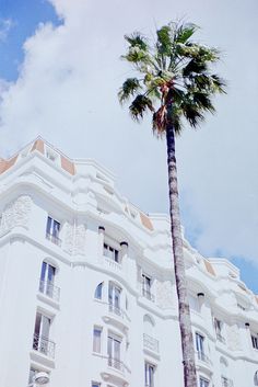 a tall palm tree in front of a white building with windows and balconies