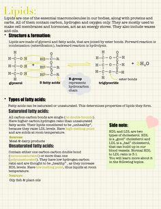 an info sheet describing the different types of liquids