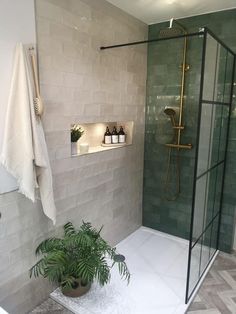 a bathroom with a shower, toilet and plants