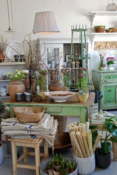 a room filled with lots of different types of plants and vases on top of tables