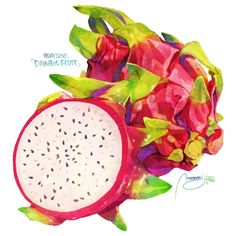 a watercolor drawing of a dragon fruit