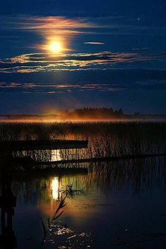 the full moon shines brightly in the night sky over a marshy area with water and reeds