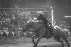 a man riding on the back of a white horse in front of an arena full of people