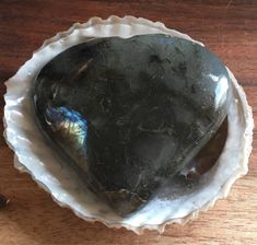 a rock in a shell on a wooden table