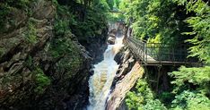 a bridge over a waterfall in the middle of a forest