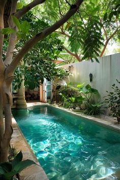 an outdoor swimming pool surrounded by trees and plants