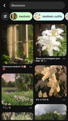 an iphone photo collage with white flowers in the foreground and green foliage on the background