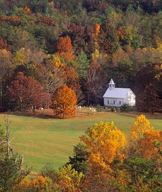 a white house surrounded by trees in the fall with colorful leaves on it's grass