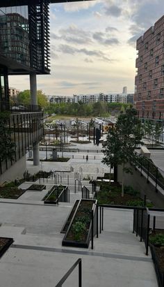 an open courtyard with several planters and trees in the foreground, surrounded by tall buildings