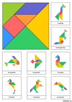 an image of different shapes and sizes of birds