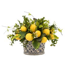 a potted plant with lemons and greenery in it on a white background