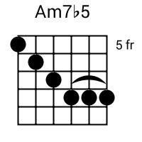 the bm / a guitar frets are shown in black and white