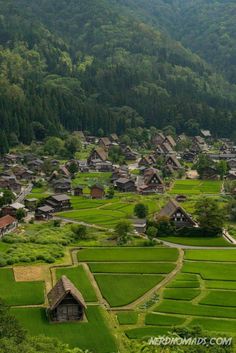 an aerial view of a village in the middle of a green valley with rice fields