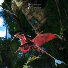 a red bird flying through the air with trees in the background