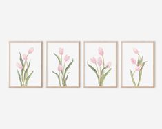 three pink tulips are hanging on the wall in front of two framed pictures