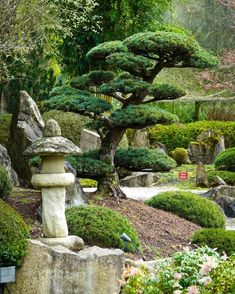 Garden Ideas Simple, Indoor Japanese Garden, Stone Bird Baths, Moon Gate, Koi Ponds, Topiary Garden, Japan Garden