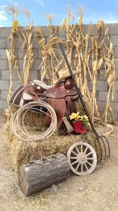 a horse saddle sitting on top of hay next to a brick wall with corn stalks