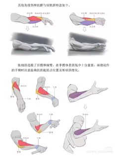 the diagram shows how to do an arm stretch