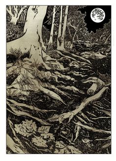 an ink drawing of trees and roots in the woods with a full moon behind them