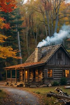 Maine Cabin Masters, Maine Cabin, Buildings Art, Forest Falls, Forest Cabin, Off Grid Cabin, Unknown Facts