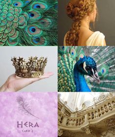 peacock feathers and tiaras are featured in this collage