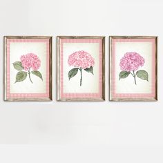 three pink flowers are hanging on the wall in front of a white wall with gingham checkered border