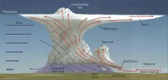 Thunderstorm Clouds, Weather Science, Aviation Training, Last Friday Night, Ozone Layer, Weather Map, Satellite Image, Last Friday