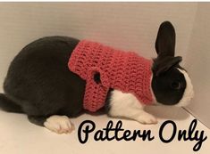 a black and white rabbit wearing a red knitted scarf with the words pattern only written below it